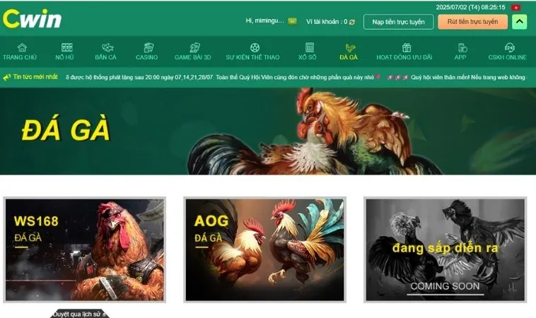 Sảnh đá gà CWin chất lượng, chuyên nghiệp
